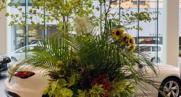 ショールームお花入れ替え🌻