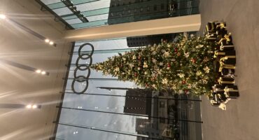 今年も大きなクリスマスツリーが🎄✨